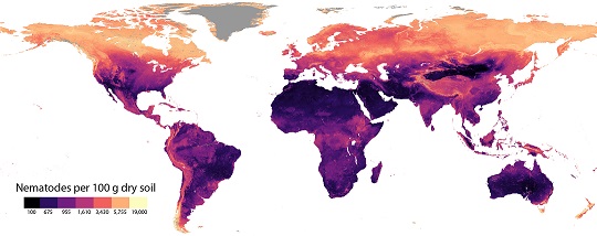 Nematodes are more widespread in colder regions rather than arid deserts.